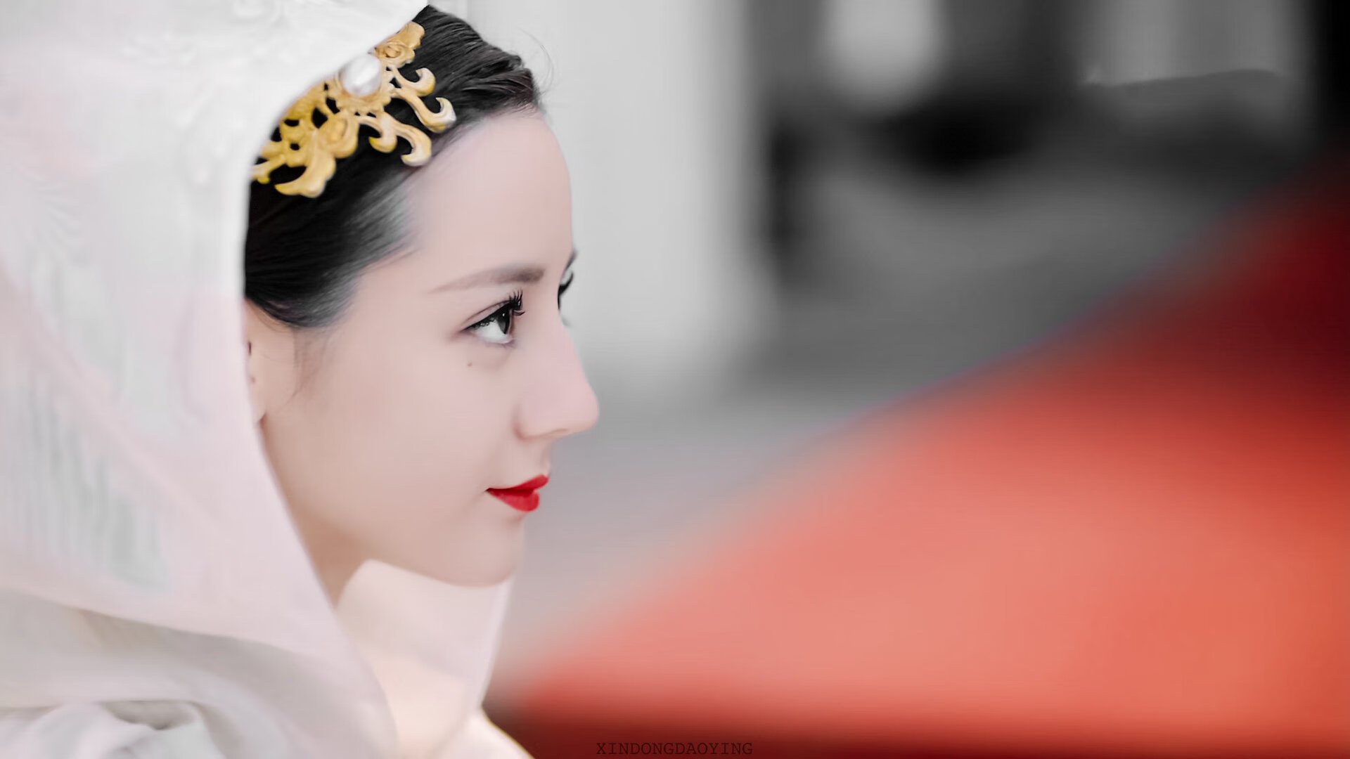 开云中国大陆-泰国马术协会举办国际马术科技大会，推动行业技术交流与合作。