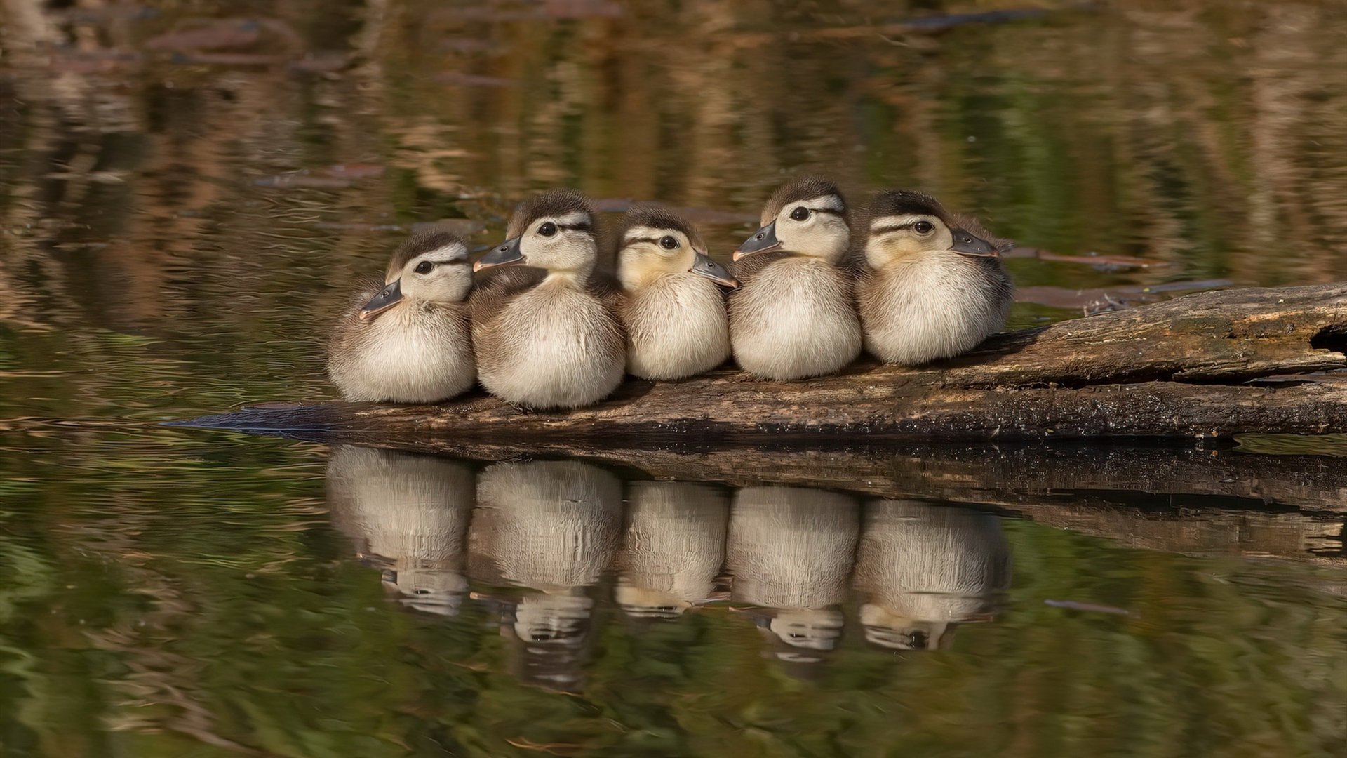 特色足球场馆在城市更新中成为新地标,带动文旅融合,足球比赛场馆