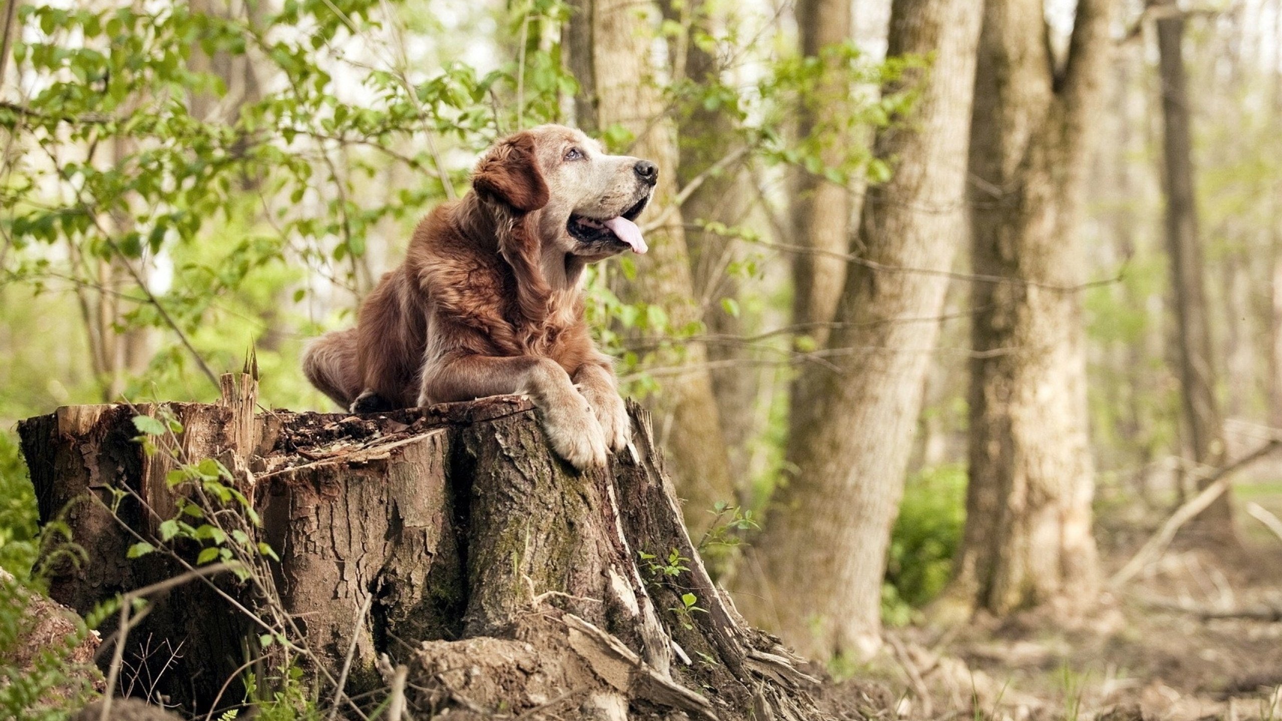 开云网站-独家现场直播：赛场内外的精彩瞬间，现场直播吧