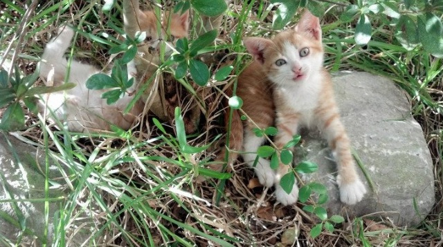 绝杀“战神”来了:那些点燃全场的最后一击,绝战最后结局