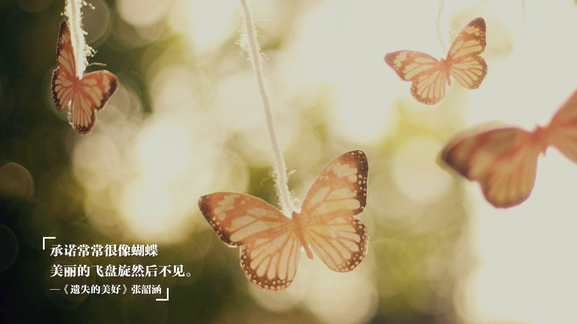 绿色节能“智慧场馆”示范工程在行业内广泛应用,行业绿色转型加快