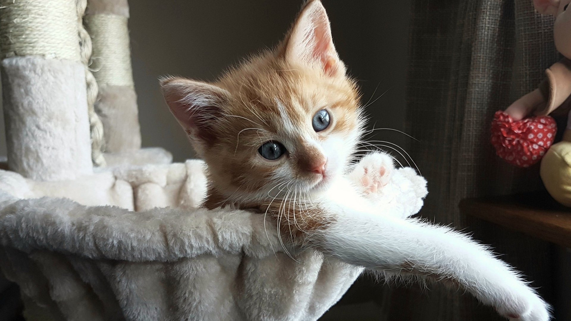 绿色电竞:低碳、环保成为下一阶段行业发展新趋势,绿色电能发展现状