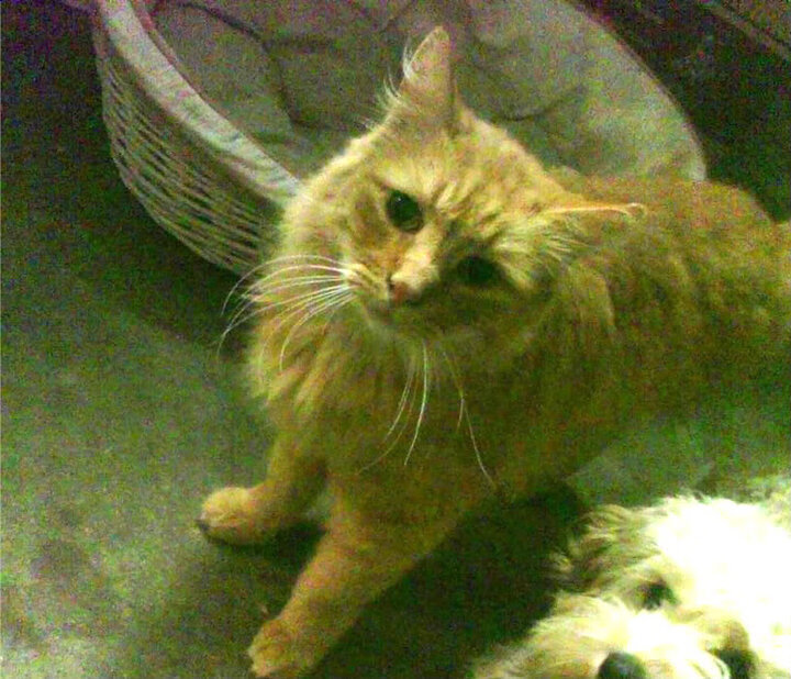 赛场上的环保行动践行,环保比赛的意义