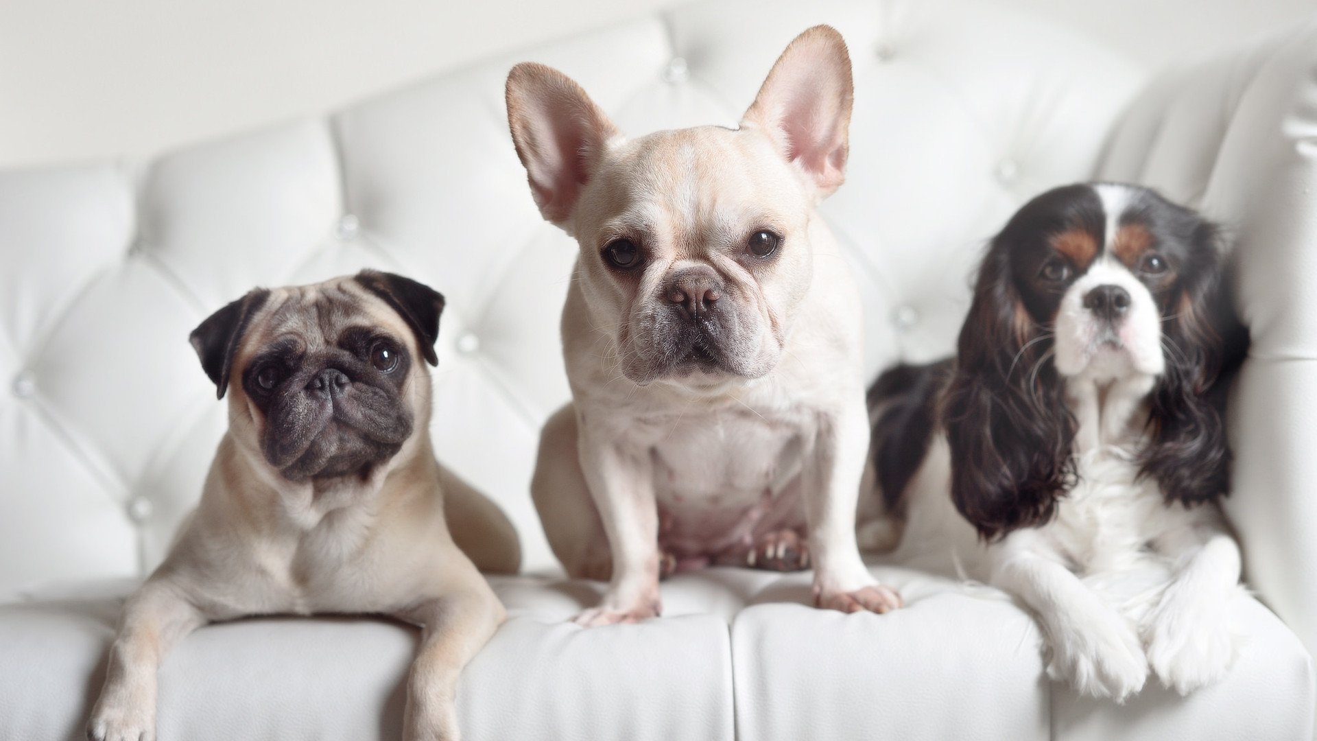 Kaiyun官方登录入口-凯尔特人逆转雄鹿，常规赛巅峰对决中塔图姆罚球绝杀，凯尔特人塔图姆打中锋可以吗