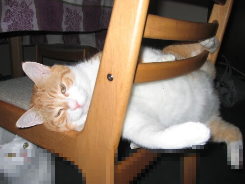 利物浦主帅再次批评裁判判罚政策,利物浦主帅是谁