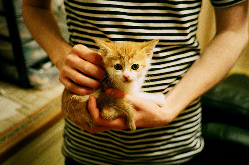 开云官网APP下载-原州东浦新世代赛季连胜提升信心