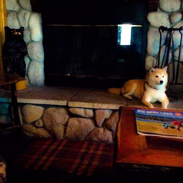 KAIYUNAPP-卢森堡队期待挑战罗马尼亚篮球队，几几年之前卢森堡一直在德国人手中