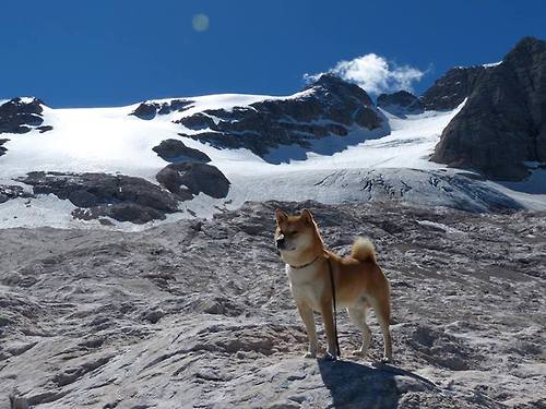 博卡青年篮板球争夺激烈,博卡青年球场