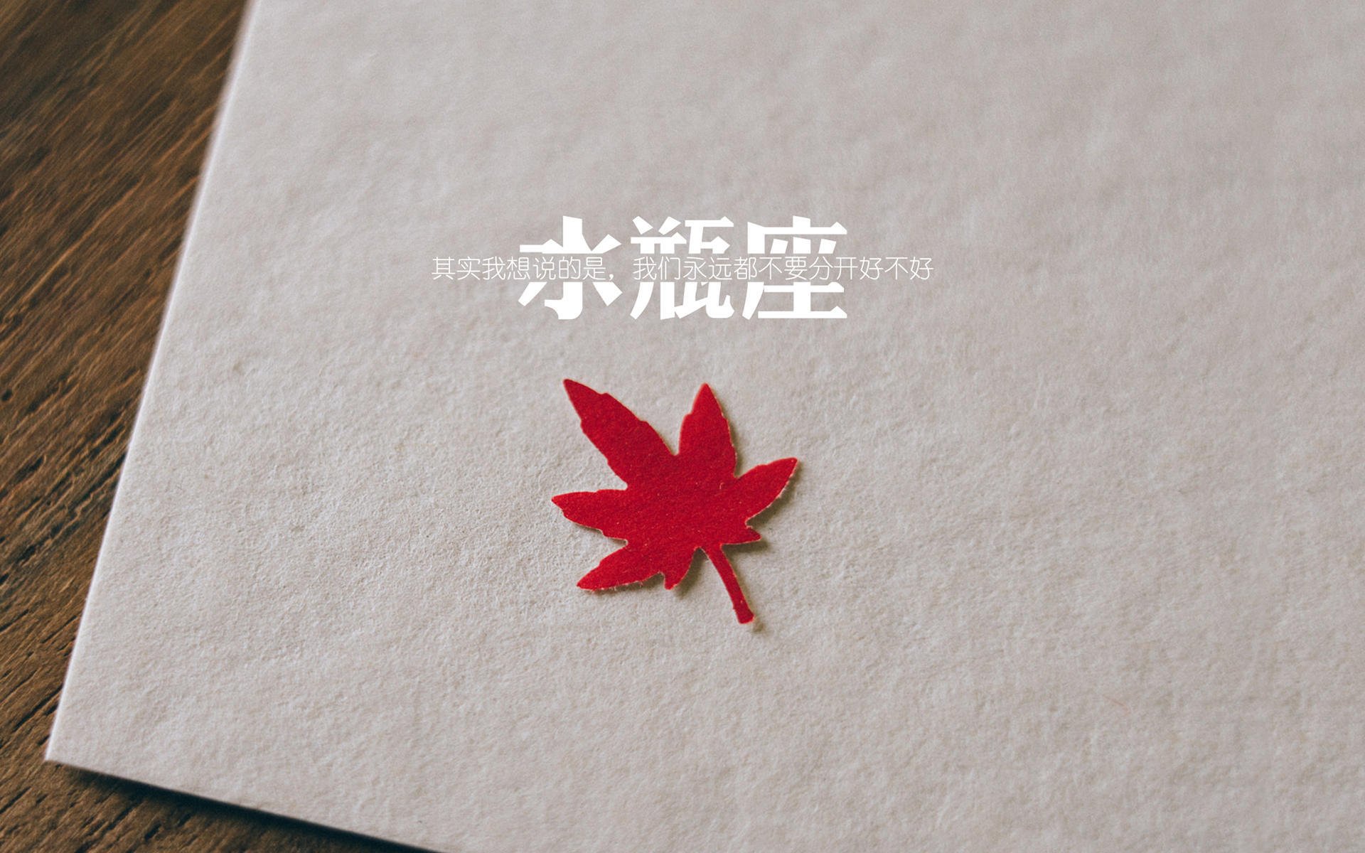 kaiyun中国官方网站-张伟丽成功卫冕金腰带，UFC赛场再次闪耀，张伟丽在ufc打了几场比赛才挑战冠军