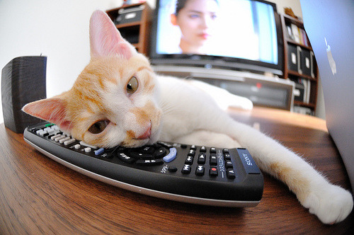 情怀战终结欧冠之旅,传奇画卷落幕,欧冠之路