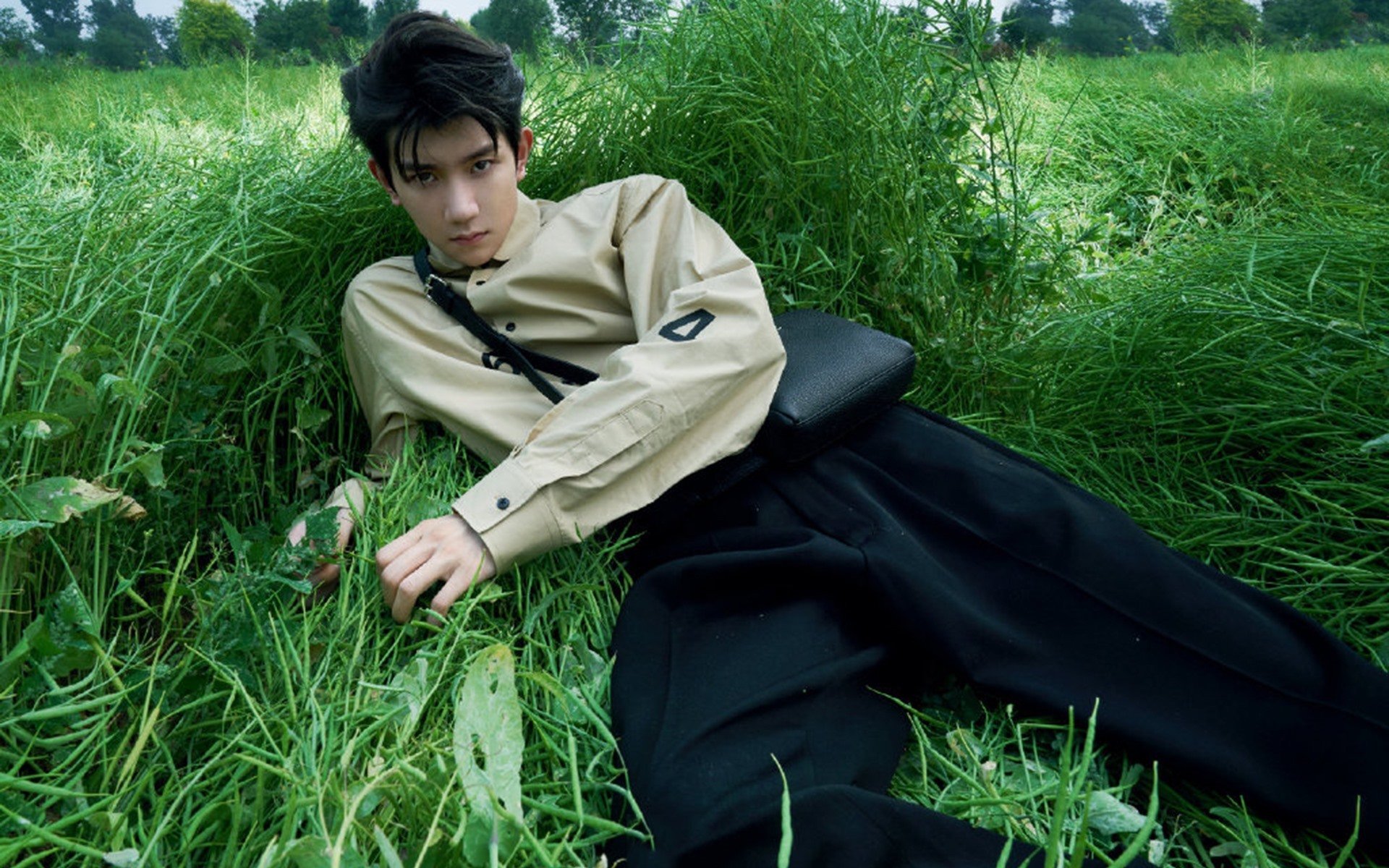 猛龙队球队战术调整得当，nba球队猛龙队