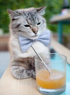 世界自行车极速赛中国队表现亮眼,自行车世界锦标赛