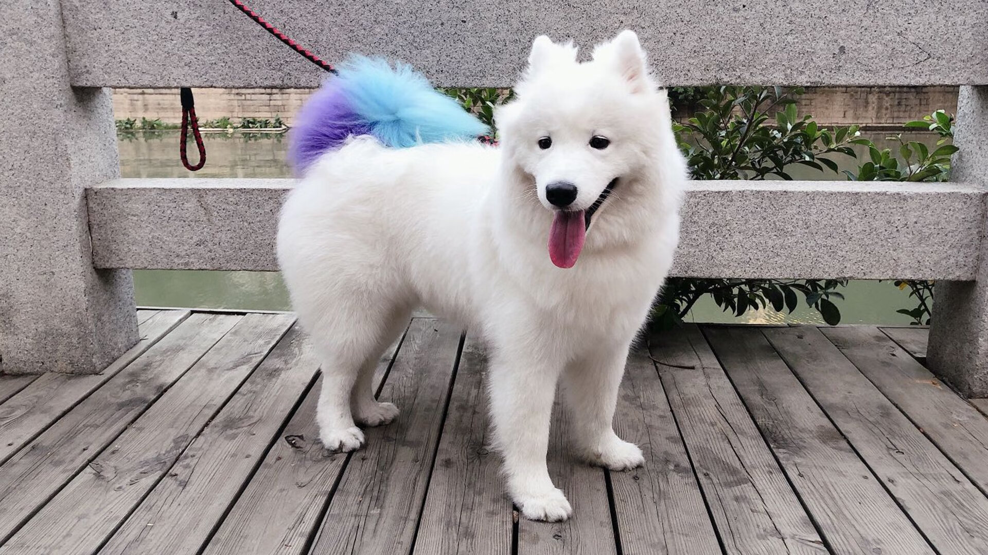 亚冠焦点赛事战略合作加强,亚冠集中比赛