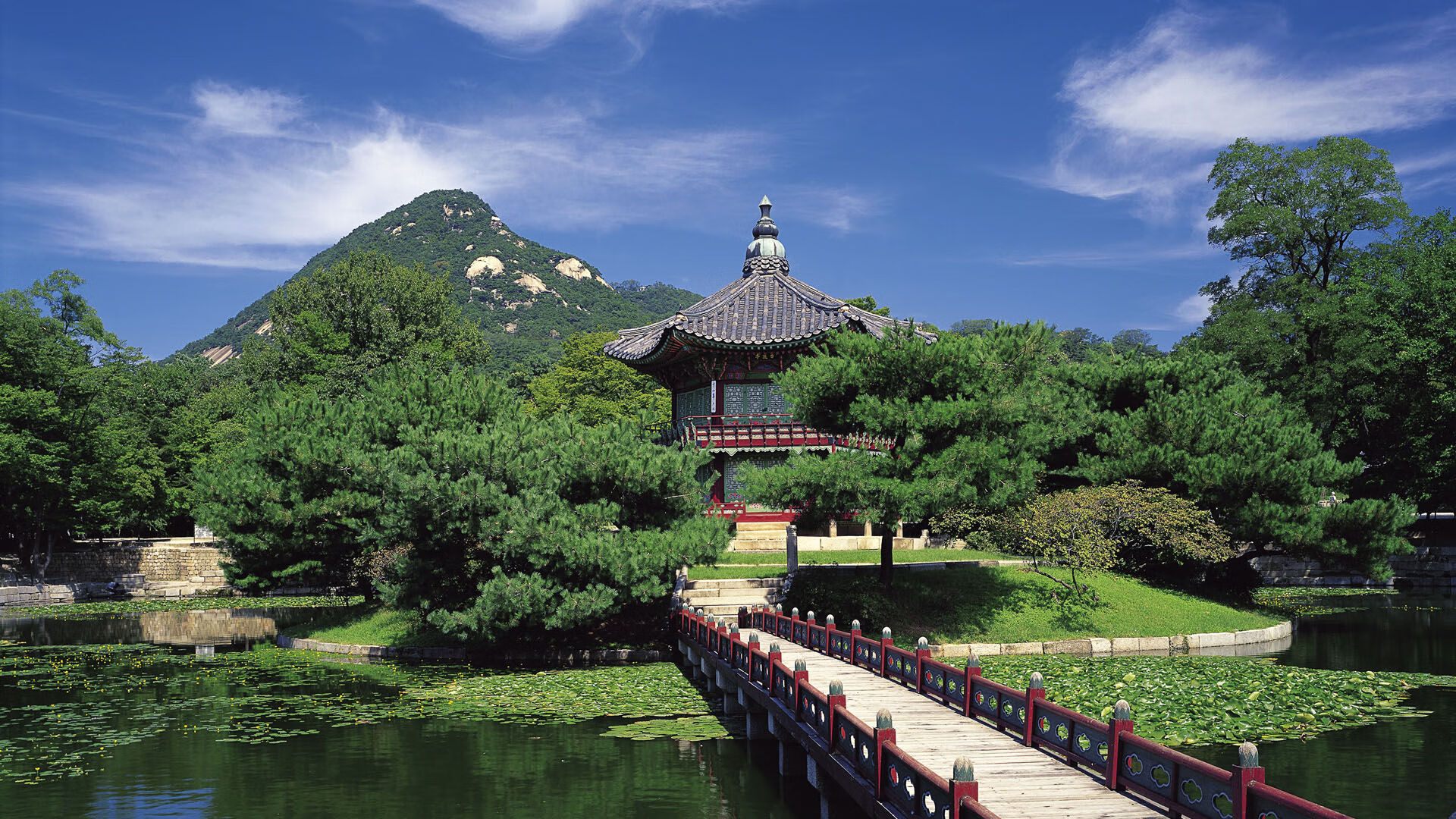 KAIYUN 中国大陆-全运会火炬传递结合城市夜跑活动，全运会火炬如何传递