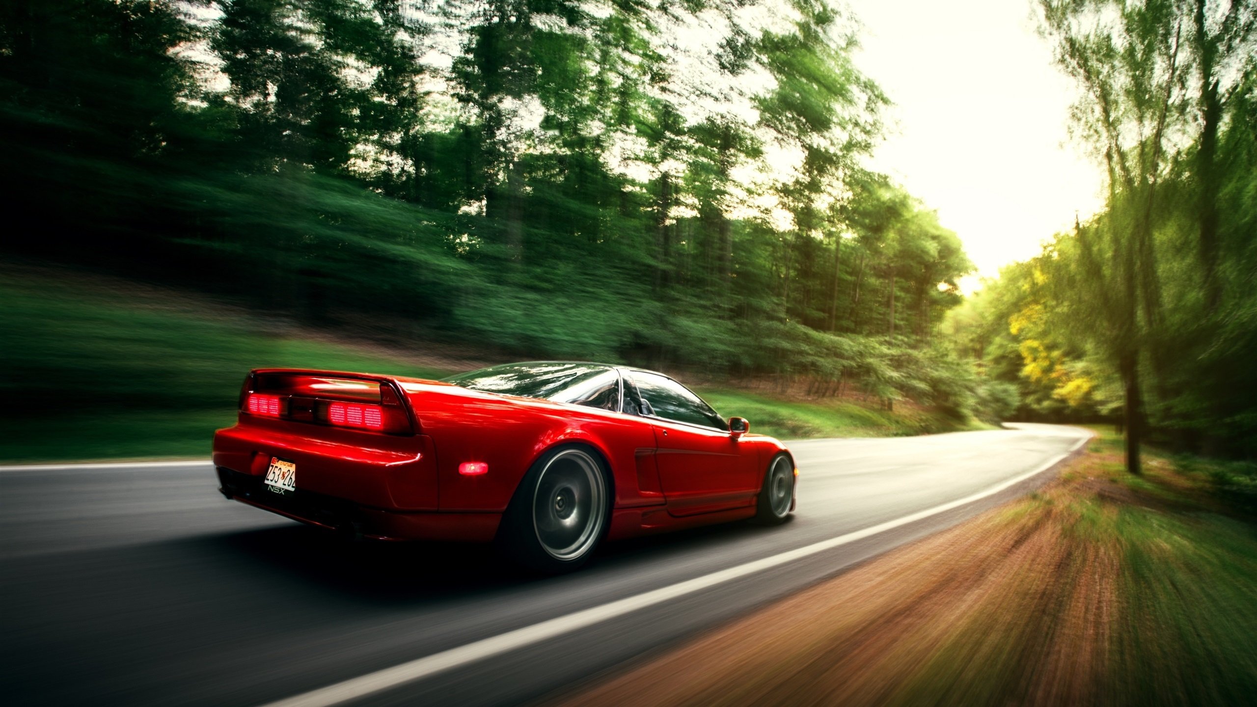 仰泳冲刺中立代表队A选手排名上升,仰泳中国队