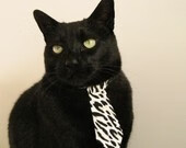 历史性胜利引发全网热议,历史性胜利引发全网热议的事件