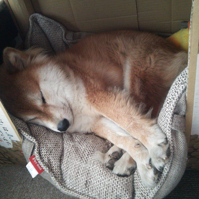 开云体育-谷爱凌新广告片展现滑雪美学，谷爱凌的采访让人看了就想学滑雪